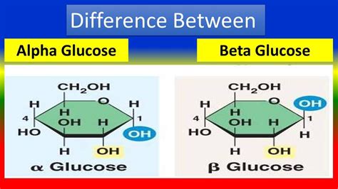 beta d glucose|Difference Between Alpha and Beta Glucose .
